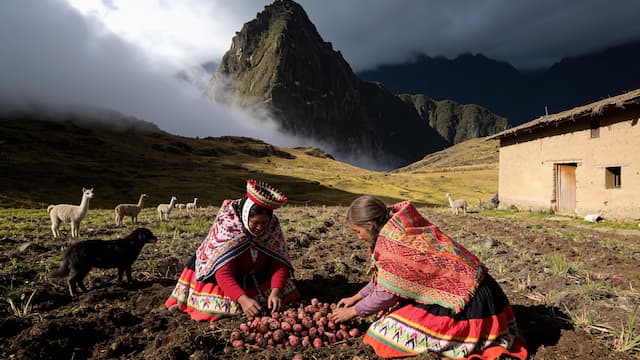 S01:E06 - The Inca Desert System