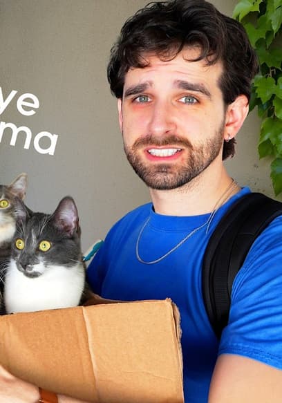 S01:E04 - Moving Out With the Cats poster