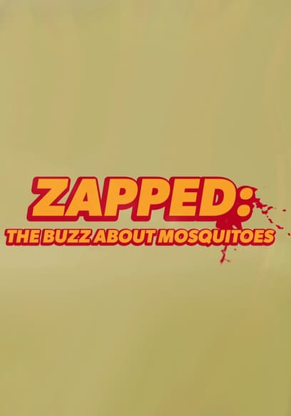 Zapped: The Buzz About Mosquitoes