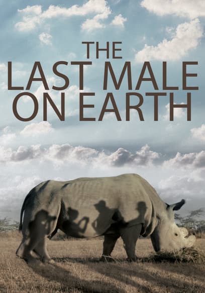 The Last Male on Earth