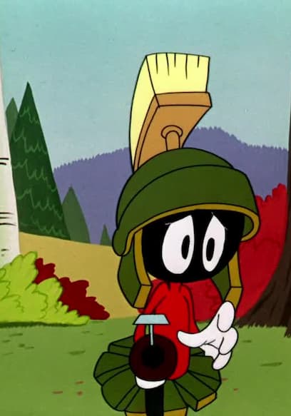 S06:E15 - The Hasty Hare / Rabbit Seasoning / Gift Wrapped poster