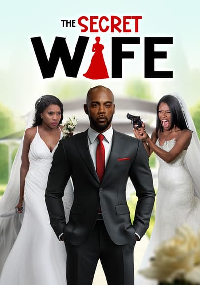 The Secret Wife