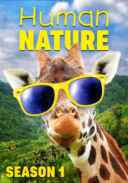 S02:E10 - Perseverance, Honesty and Individuality