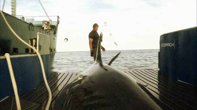 S01:E10 - Never Give Up