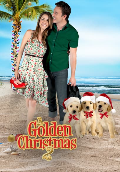 A Golden Christmas 2