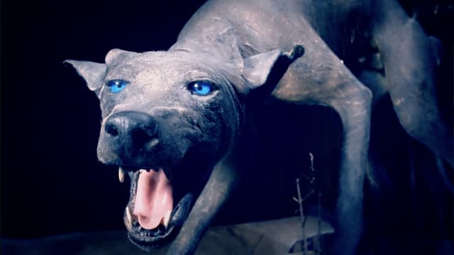 S01:E02 - Dybbuk Box/Bigfoot