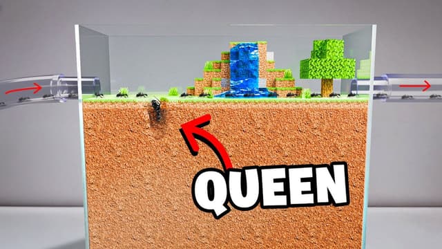 S01:E04 - Ant Colony Minecraft