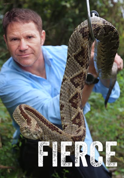 S01:E04 - Australia