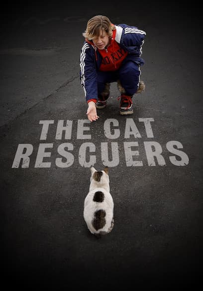 The Cat Rescuers