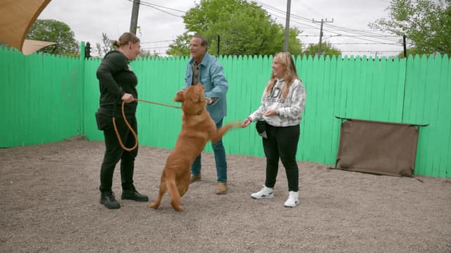 S02:E16 - Detroit Dog Rescue