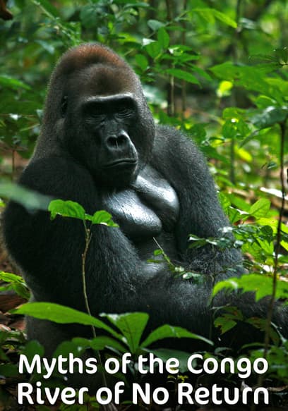 S01:E01 - River of Extremes