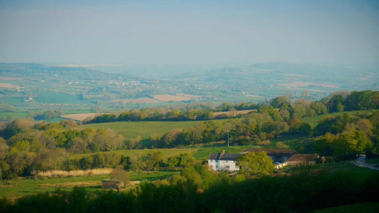 Watch River Cottage: Reunited