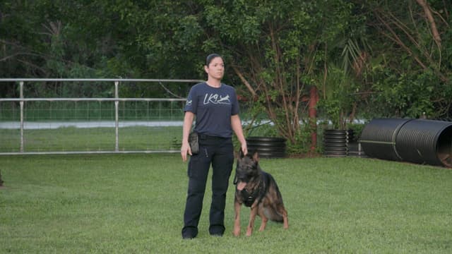 S01:E09 - Man's Best Friend