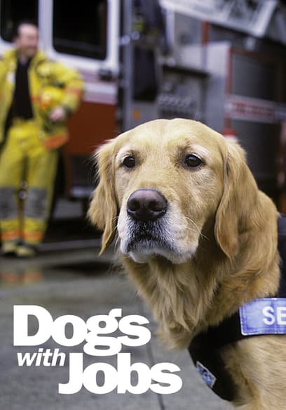S01:E12 - EPISODE 12: Dani: Cancer Dog & King: Mine Detector