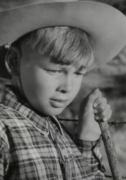 S01:E01 - Swedes & Cowboys in America poster