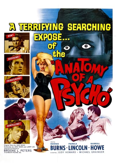 Anatomy of a Psycho poster