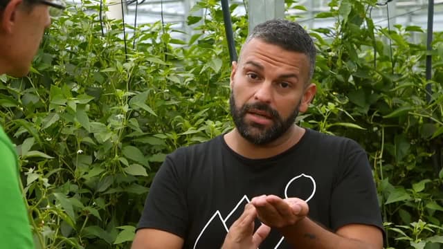 T04:C11 - S04:E11 - Bilbo Handia, la meca del sabor