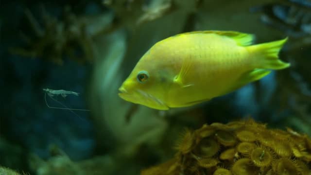 S10:E02 - Only Natural