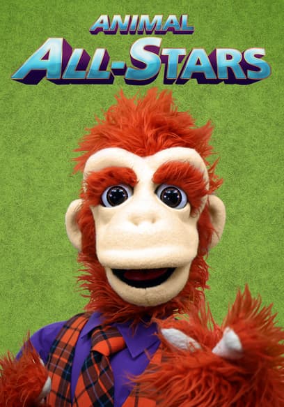 Animal All Stars