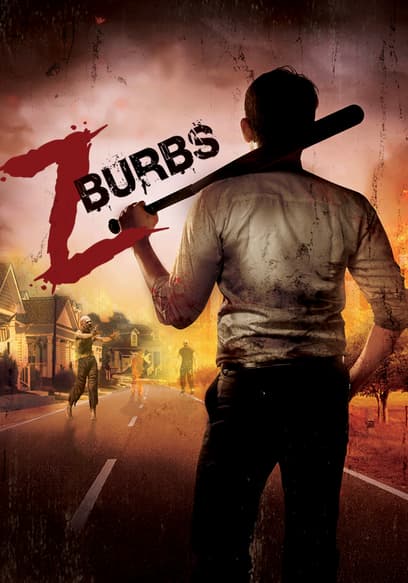 ZBurbs poster