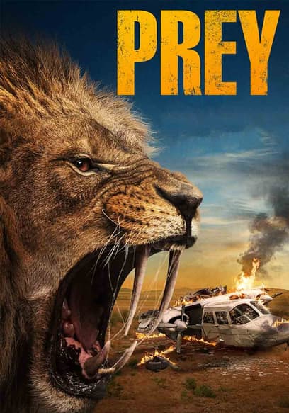 Prey poster