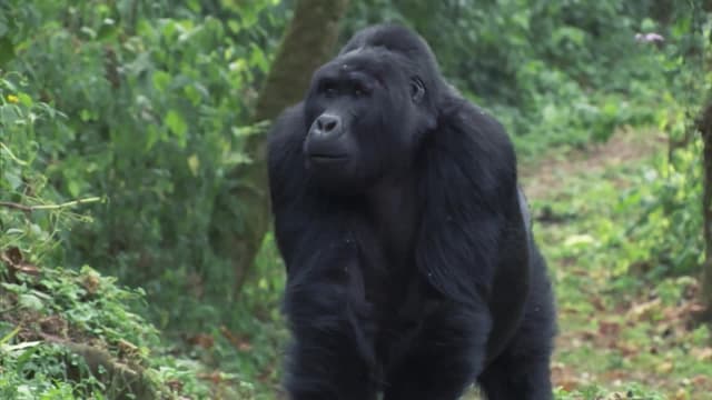 S02:E08 - The Big Ones