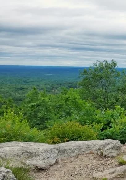 The Syntax of Romance Languages Trailer