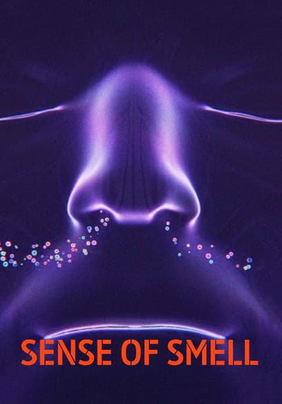 Sense of Smell poster