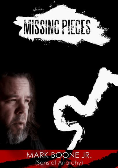 Missing Pieces