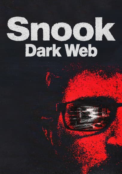 Snook: Dark Web