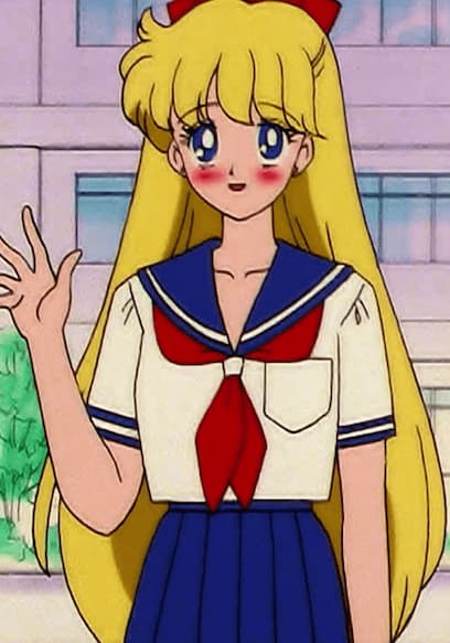S03:E11 - I Want to Quit Being a Sailor Guardian: Minako’s Dilemma poster
