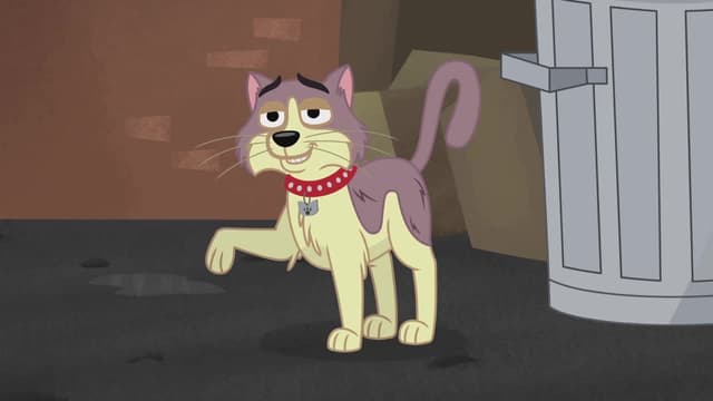 S01:E24 - Kennel Kittens Return