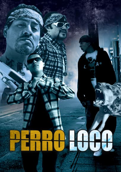 Perro loco