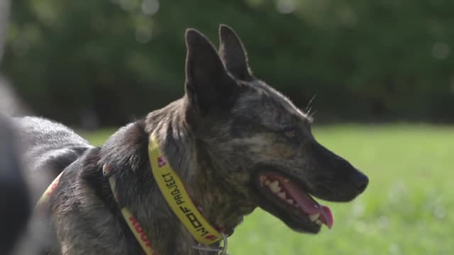 S01:E11 - Glens and Jay