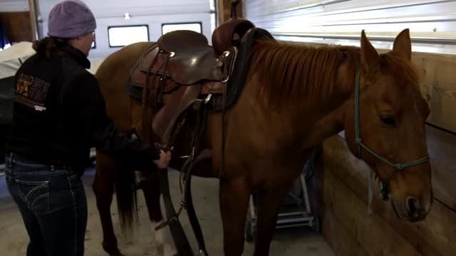 S01:E07 - Bullseye