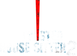 Twisted House Sitter 2