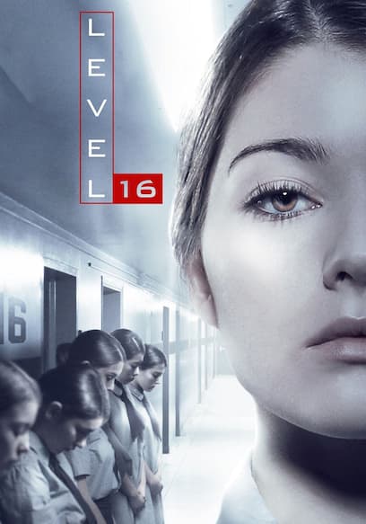Level 16