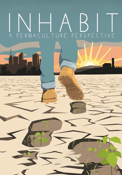 Inhabit: A Permaculture Perspective