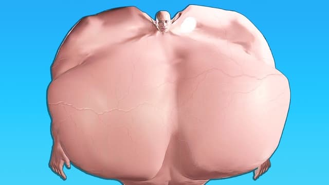 S43:E19 - Getting Swole in 20 Minutes