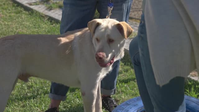 S01:E02 - Dana and the McLachlan’s