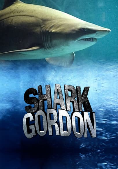 Shark Gordon