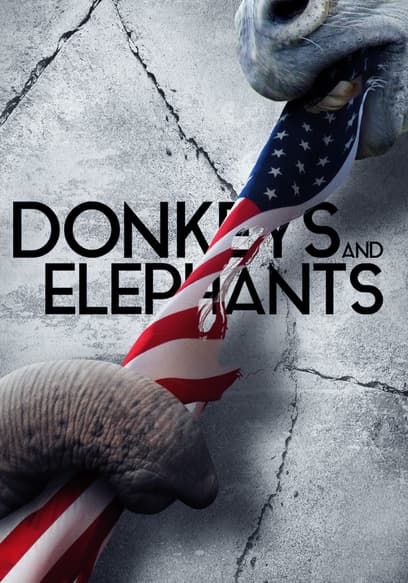 Donkeys and Elephants