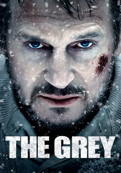 The Grey