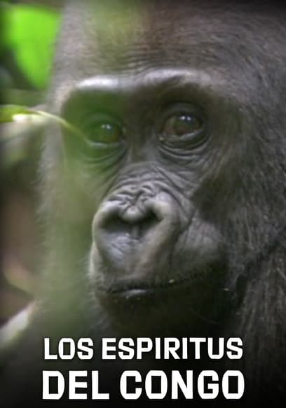 Los Espiritus Del Congo