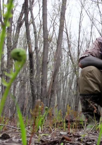 S01:E02 - Wild Turkey, Ramps & Fiddleheads poster