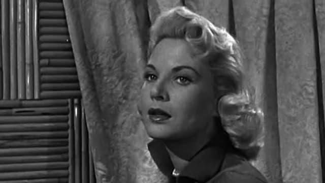 S01:E33 - The Killer