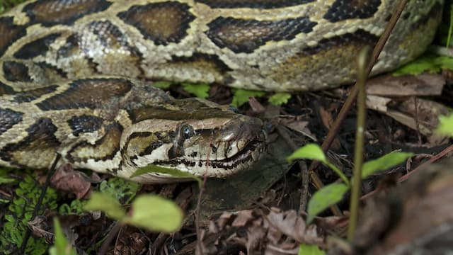 S03:E16 - The Final Battle