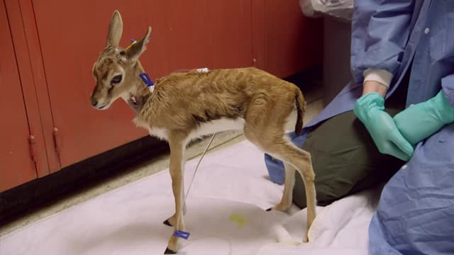 S01:E02 - Handle With Care