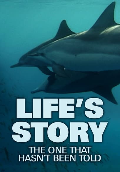 Life's Story: The One That Hasn't Been Told