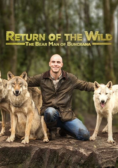 S01:E01 - Killian's Wild Dream